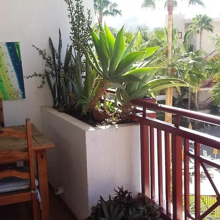 Apartment Апартаменты На Тенерифе На Длительный Срок Long Term Rentalies Palm-mar